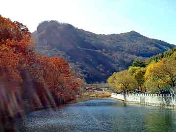 澳门二四六天天彩图库，岢岚seo营销